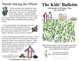 The Kids' Bulletin 16th Sunday